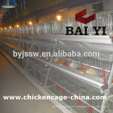 Install Video For Construction of Poultry Cages For Poultry Farms For Sale